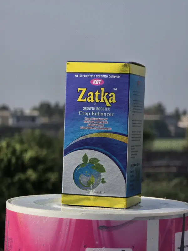 Zatka