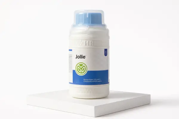 Jollie