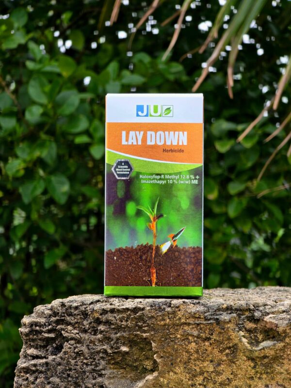 Lay Down