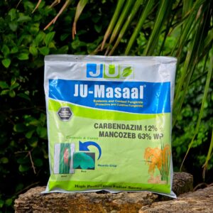 Masaal