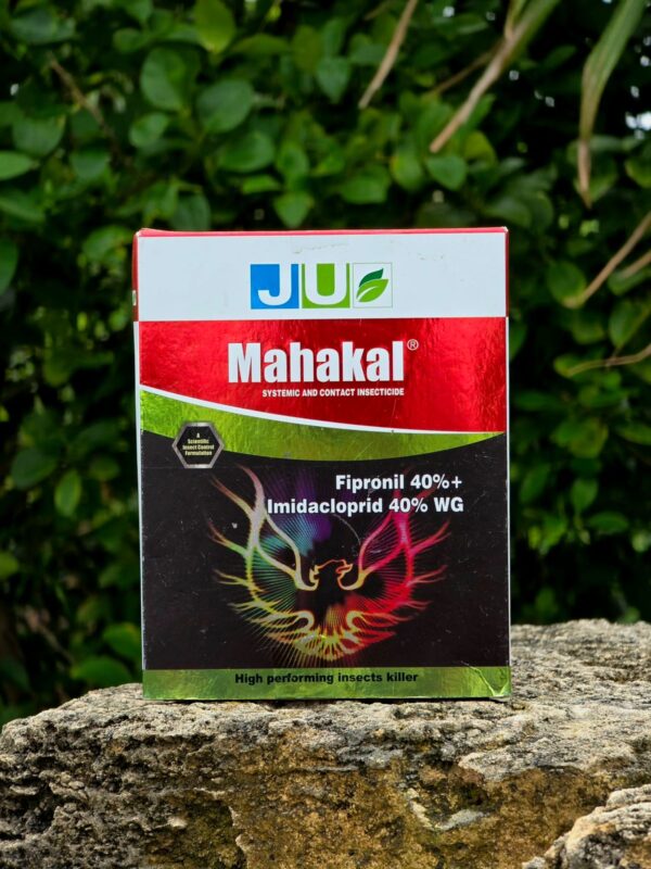Mahakal