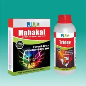 Mahakal
