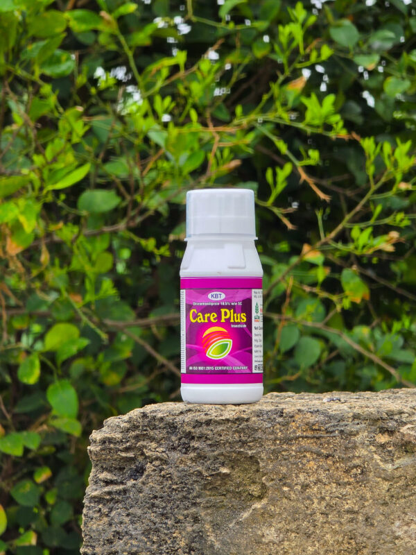 CARE PLUS