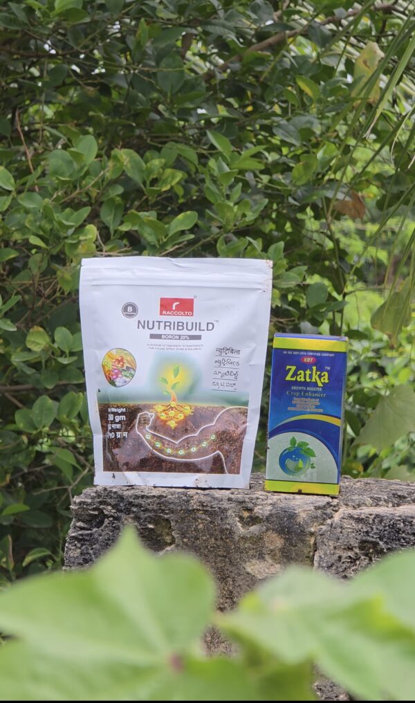 Zatka + Nutribuild Boron 20 %
