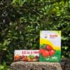 10 IN 1 PACK - VEGETABLE - KITCHEN GARDEN