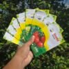 10 IN 1 PACK - VEGETABLE - KITCHEN GARDEN - Image 2