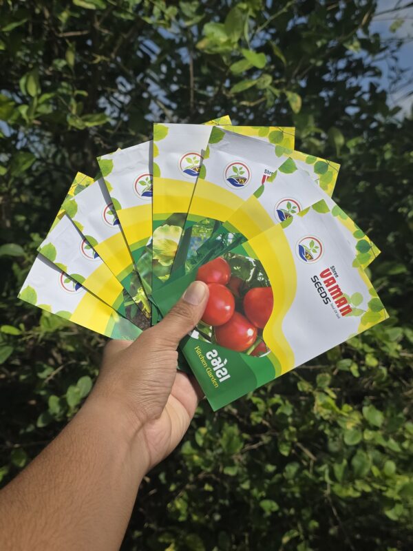 10 IN 1 PACK - VEGETABLE - KITCHEN GARDEN - Image 2