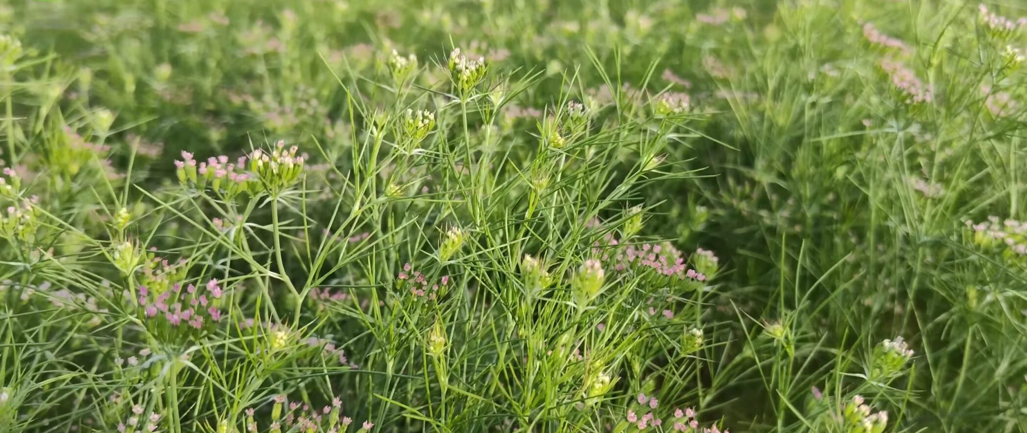 Screenshot_20251015_162913_YouTube