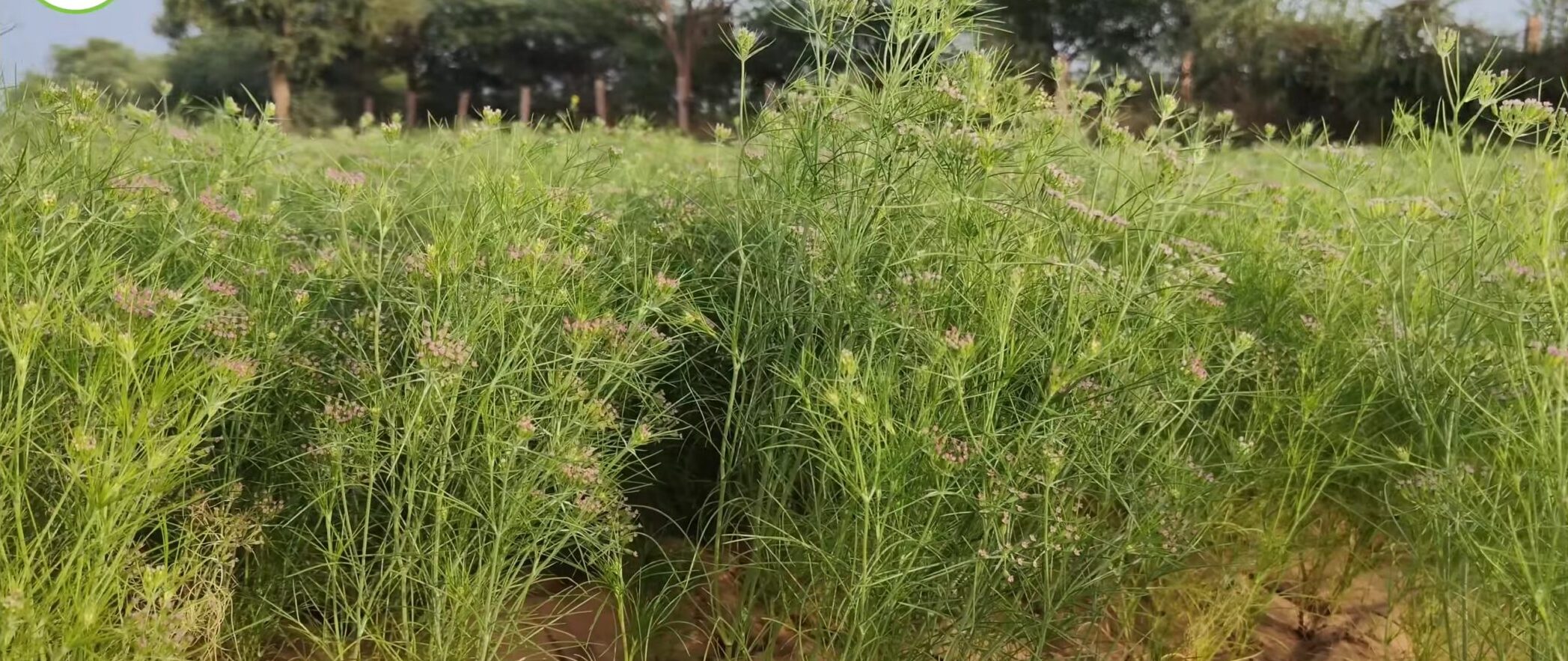 Screenshot_20251015_162928_YouTube