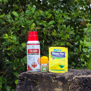 TRUMP + GAURAV + STREPTO PLUS