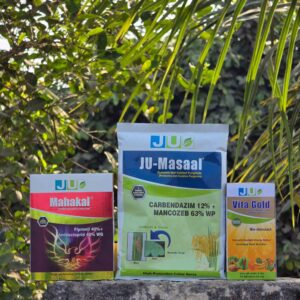 Mahakal + VitaGold + Masaal