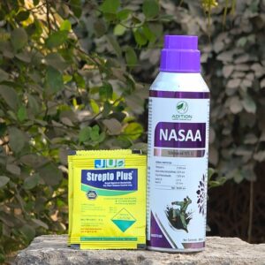 NASAA + STREPTO PLUS