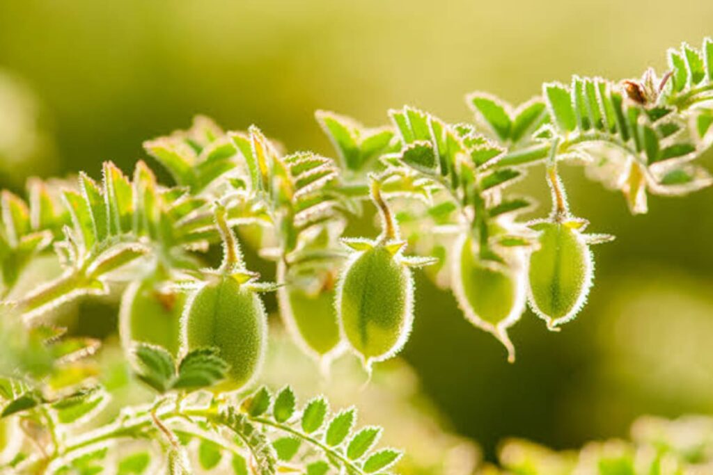 WhatsApp Image 2026-02-16 at 9.47.31 PM