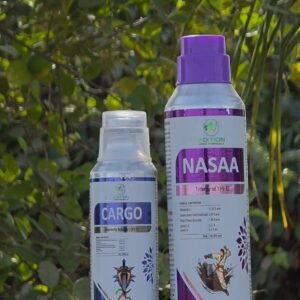 Cargo + Nasaa