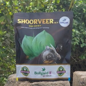 Shoorveer  BG II