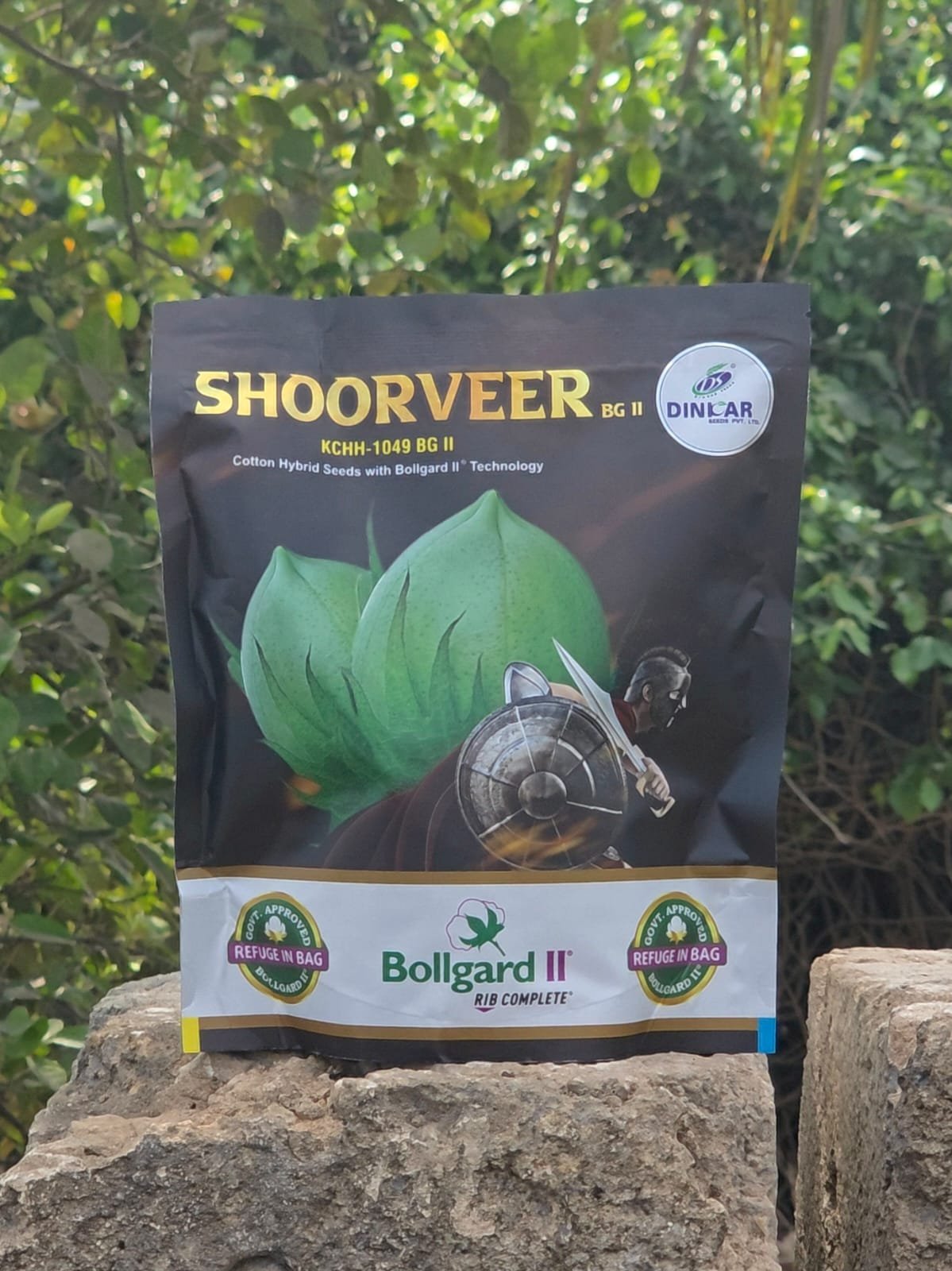 Shoorveer BG II