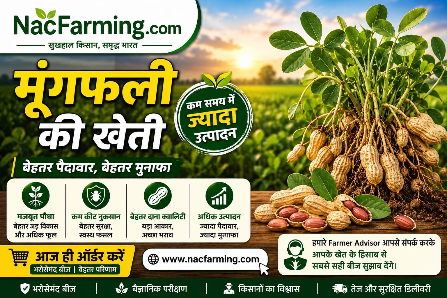 WhatsApp Image 2026-06-10 at 7.19.44 PM (2)