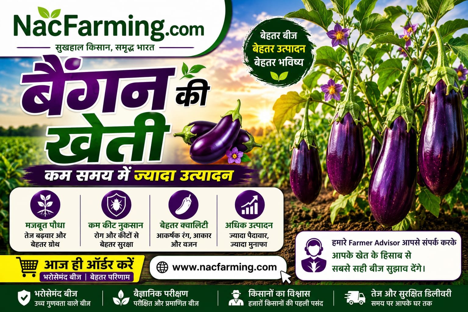 WhatsApp Image 2026-06-10 at 7.19.45 PM (1)