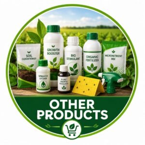 Other Product