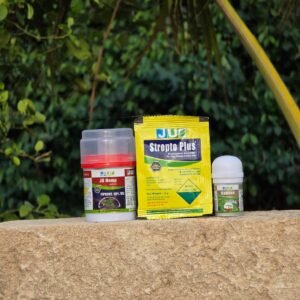 HEMP + GAURAV + STREPTO PLUS