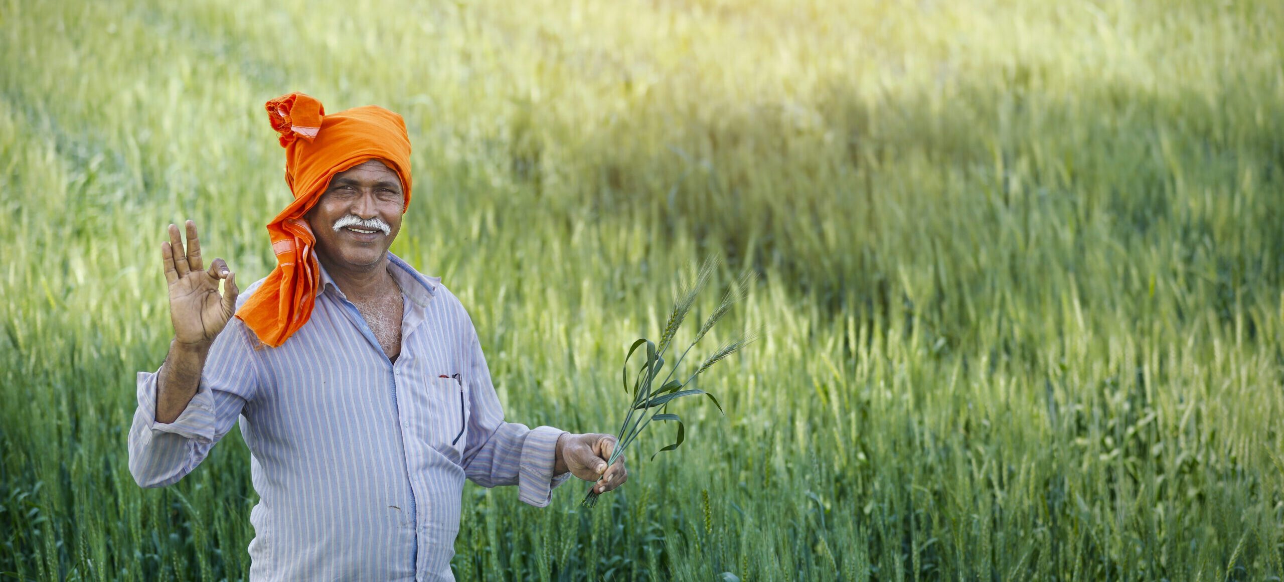 trusted farmer